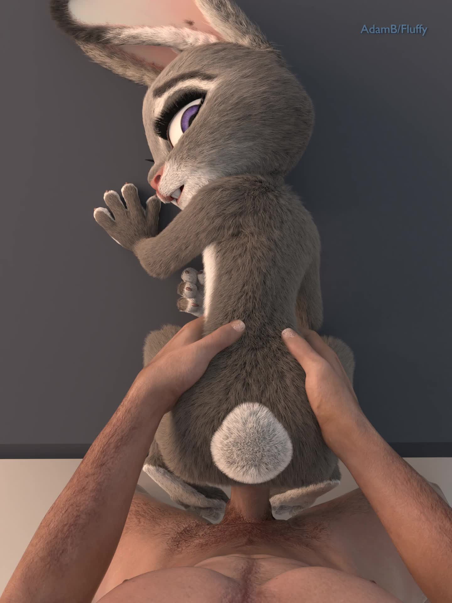 3D Animated Blender Fluffy Judy_Hopps Zootopia // 1440x1920 // 15.5MB // webm