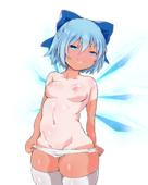Cirno Touhou_Project // 1538x1918 // 920.0KB // png