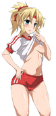 FateGrand_Order Mordred Saber_of_Red // 589x1200 // 337.3KB // jpg