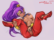 Cutepet Shantae Shantae_(Game) mina // 1100x814 // 258.4KB // jpg