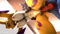 3D Animated Digimon Kasdaq Renamon Source_Filmmaker // 960x540 // 11.6MB // webm