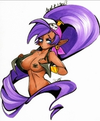 Shantae Shantae_(Game) // 976x1176 // 280.8KB // jpg
