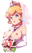 Princess_Peach Super_Mario_Bros // 2030x3328 // 470.1KB // jpg