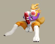 3D Animated Digimon Renamon donandark // 920x810 // 60.6KB // webm