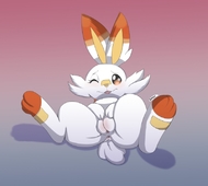 Pokemon Pokemon_Sword_and_Shield Scorbunny_(Pokemon) // 800x717 // 53.1KB // jpg