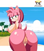 Amy_Rose Sonic_(Series) // 1400x1623 // 806.0KB // png