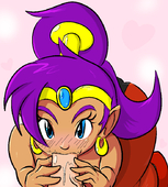 Shantae Shantae_(Game) // 704x781 // 51.6KB // png