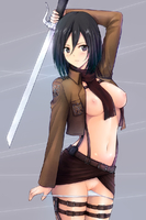Attack_On_Titan Mikasa_Ackerman Shingeki_no_Kyojin // 800x1200 // 439.6KB // jpg
