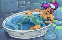 Furboz Shantae Shantae_(Game) // 700x461 // 35.5KB // jpg