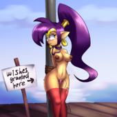 Shantae Shantae_(Game) Zedrin // 1080x1080 // 930.1KB // png