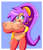 Fuppy-Jr Shantae Shantae_(Game) // 1733x2000 // 727.8KB // png