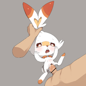 Pokemon Pokemon_Sword_and_Shield Scorbunny_(Pokemon) // 2000x2000 // 589.4KB // jpg