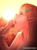 Animated Princess_Zelda RaunchyNinja The_Legend_of_Zelda The_Legend_of_Zelda_Breath_of_the_Wild // 420x560 // 2.0MB // gif