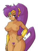 MarbleSoda Shantae Shantae_(Game) // 1280x1702 // 717.7KB // png