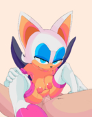 Rouge_The_Bat Sonic_(Series) TheBoogie jontxu2d // 1000x1272 // 2.5MB // gif