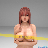 Blender BlenderN00b Dead_or_Alive Honoka // 1920x1920 // 2.1MB // jpg