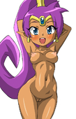Shantae Shantae_(Game) // 684x1070 // 371.4KB // jpg