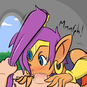 Shantae Shantae_(Game) // 800x800 // 33.3KB // png
