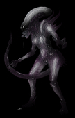 Alien_(Series) Xenomorph // 950x1500 // 802.0KB // png