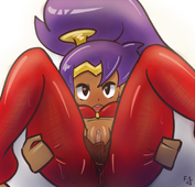 Shantae Shantae_(Game) // 700x671 // 427.8KB // png