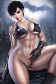 Batman_(Series) Catwoman DC_Comics dandonfuga // 3508x5230 // 1.4MB // jpg