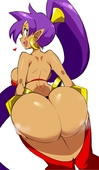 Shantae Shantae_(Game) cham22 // 961x1658 // 132.3KB // jpg