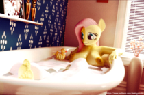 3D Fluttershy My_Little_Pony_Friendship_Is_Magic thatotherguythere // 2021x1338 // 4.5MB // png