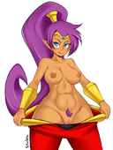 Shantae Shantae_(Game) // 695x920 // 80.8KB // jpg