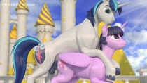 3D Animated Clopician My_Little_Pony_Friendship_Is_Magic Shining_Armor Sound Twilight_Sparkle // 1280x720 // 6.4MB // webm