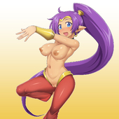 Shantae Shantae_(Game) // 1200x1200 // 520.1KB // jpg