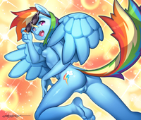 Erotibot My_Little_Pony_Friendship_Is_Magic Rainbow_Dash // 1029x875 // 790.9KB // jpg