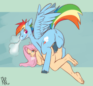 ArkiiWarki Fluttershy My_Little_Pony_Friendship_Is_Magic Rainbow_Dash // 1280x1191 // 497.7KB // png