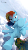 3D My_Little_Pony_Friendship_Is_Magic Rainbow_Dash skunkfrakker // 1080x1920 // 356.0KB // jpg