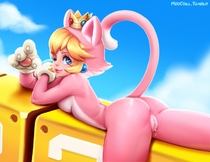NeoCoill Princess_Peach Super_Mario_Bros // 774x596 // 220.6KB // jpg