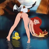 Animated Disney_(series) Flounder Princess_Ariel Scuttle Sebastian The_Little_Mermaid_(film) rooler34 // 1080x1080 // 543.5KB // webm