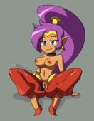Mr._Chase_Comix Shantae Shantae_(Game) // 1280x1646 // 416.8KB // png