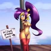 Shantae Shantae_(Game) Zedrin // 1080x1080 // 925.1KB // png