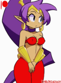 Animated Darkprincess04 Shantae Shantae_(Game) // 410x560 // 906.4KB // gif