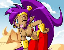 Shantae Shantae_(Game) // 792x612 // 321.6KB // jpg