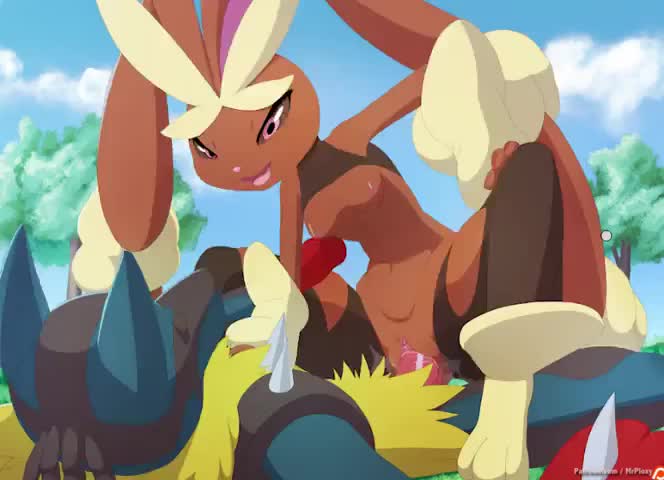 Animated Lopunny_(Pokémon) Lucario_(Pokémon) Pokemon mrploxy // 664x480 // 310.3KB // webm
