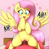 Fluttershy My_Little_Pony_Friendship_Is_Magic // 1280x1280 // 1.0MB // png