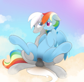 B-EPON My_Little_Pony_Friendship_Is_Magic Rainbow_Dash // 1280x1257 // 860.1KB // png