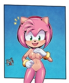 Amy_Rose Procyon't Sonic_(Series) // 1008x1200 // 215.2KB // jpg