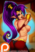 Shantae Shantae_(Game) elwinne // 733x1100 // 672.6KB // jpg