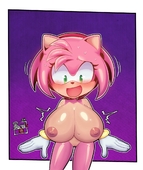 Amy_Rose Procyon't Sonic_(Series) // 1008x1200 // 209.3KB // jpg