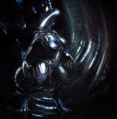Alien_(Series) Xenomorph // 782x791 // 108.1KB // jpg