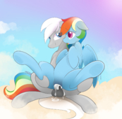 B-EPON My_Little_Pony_Friendship_Is_Magic Rainbow_Dash // 1280x1257 // 866.3KB // png