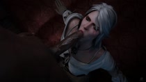 3D Animated Blender Ciri Pewposterous The_Witcher_3:_Wild_Hunt // 960x540 // 7.5MB // webm